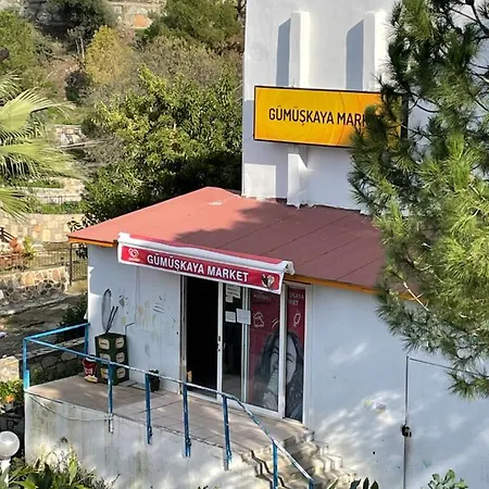Gumuslukte Ozel Plajli Ve Havuzlu Mustakil Yazlik Bodrum
