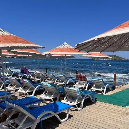 Vila Gumuslukte Ozel Plajli Ve Havuzlu Mustakil Yazlik Bodrum